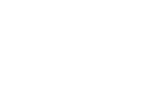 Standard Logo for Website